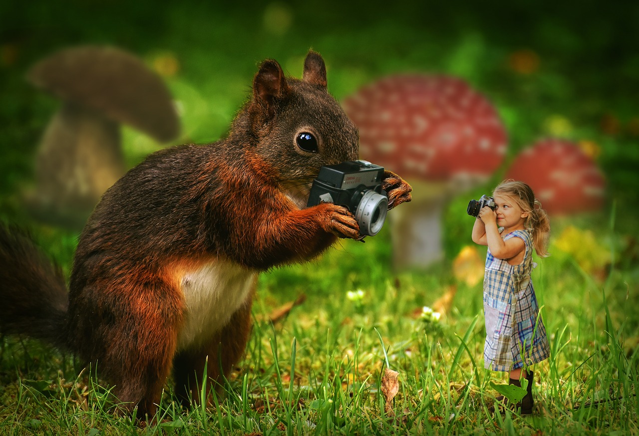 En ekorre håller i en kamera. Den tar en bild på ett barn som är pyttelitet och som också tar en bild på ekorren.