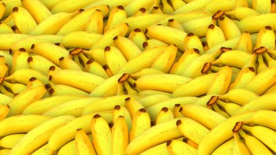 Jättemånga bananer
