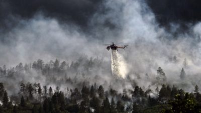 En helikopter släpper vatten över en brand i en skog.