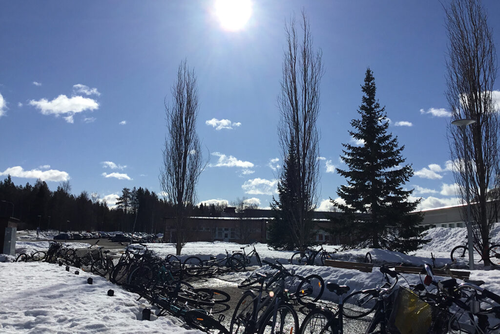 En cykelparkering. Snö på marken men solen skiner från en blå himmel.